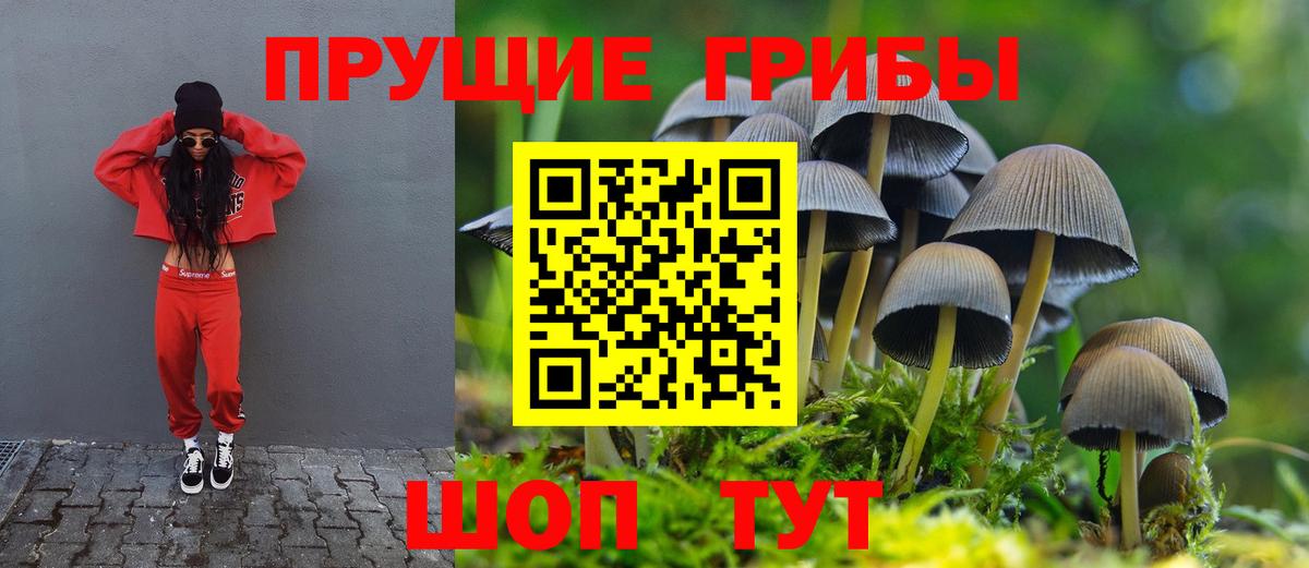 Псилоцибиновые грибы GOLDEN TEACHER Курган