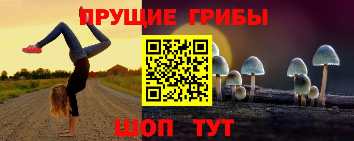 Галлюциногенные грибы GOLDEN TEACHER  Вход с VPN  Галлюциногенные грибы GOLDEN TEACHER  Курган 